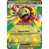 Pokemon - Coffret - Méga-Méganium ex - Héros Transcendants - ME2.5 - Français