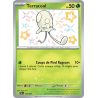 Terracool - 105/91 - Shiny rare - Destinées de Paldea