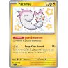 Pachirisu - 138/91 - Shiny rare - Destinées de Paldea
