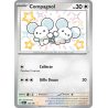 Compagnol - 209/91 - Shiny rare - Destinées de Paldea