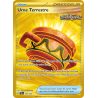 Urne Terrestre - 096/64 - Hyper rare - Fable Nébuleuse
