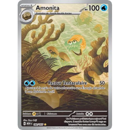 Amonita - 180/165 - AR - 151