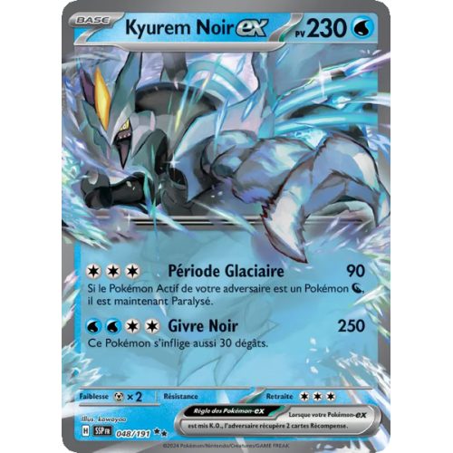 Kyurem Noir-ex - 048/191 - EX - Étincelles Déferlantes
