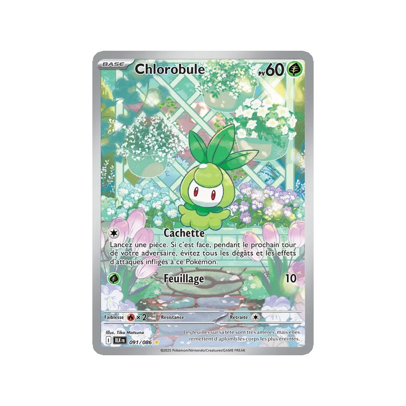 Chlorobule - 091/86 - AR - Foudre Noire