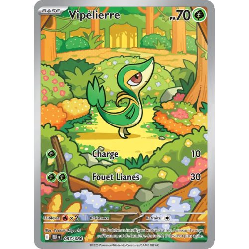 Vipélierre - 087/86 - AR - Foudre Noire