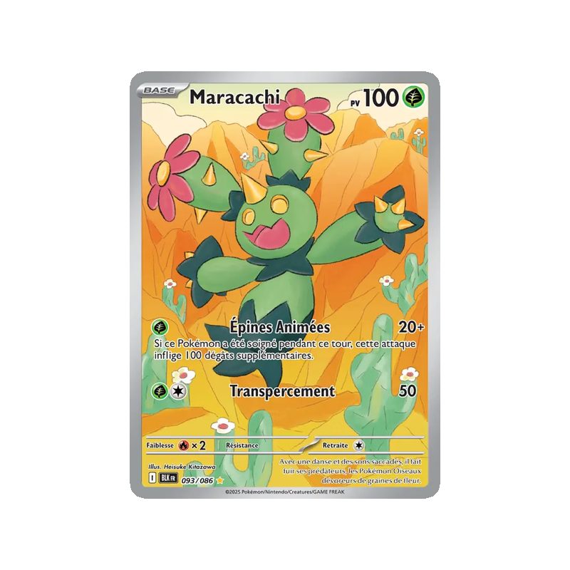 Maracachi - 093/86 - AR - Foudre Noire