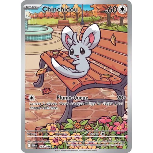 Chinchidou - 152/86 - AR - Foudre Noire