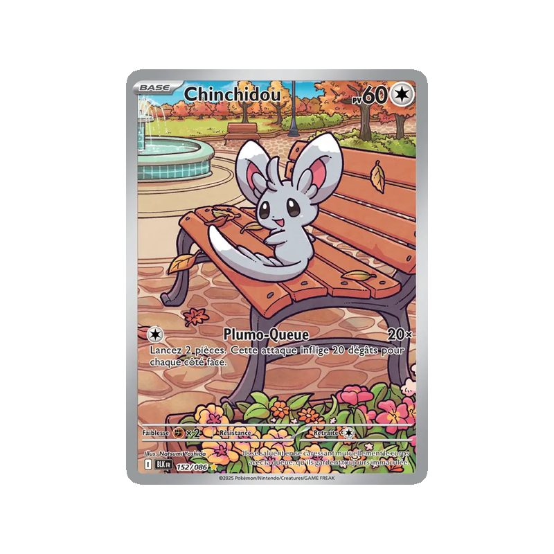 Chinchidou - 152/86 - AR - Foudre Noire
