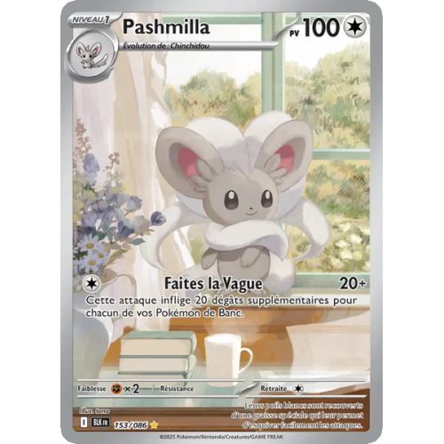 Pashmilla - 153/86 - AR - Foudre Noire