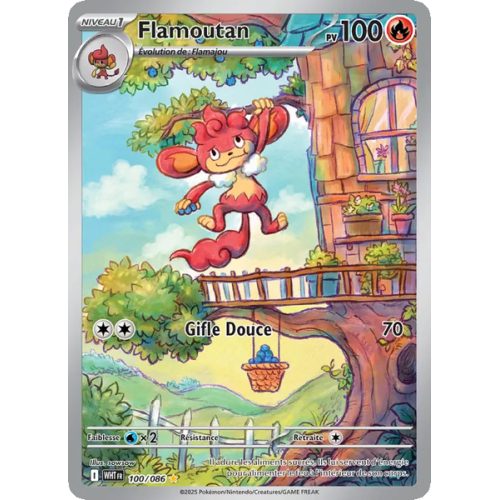 Flamoutan - 100/86 - AR - Flamme Blanche