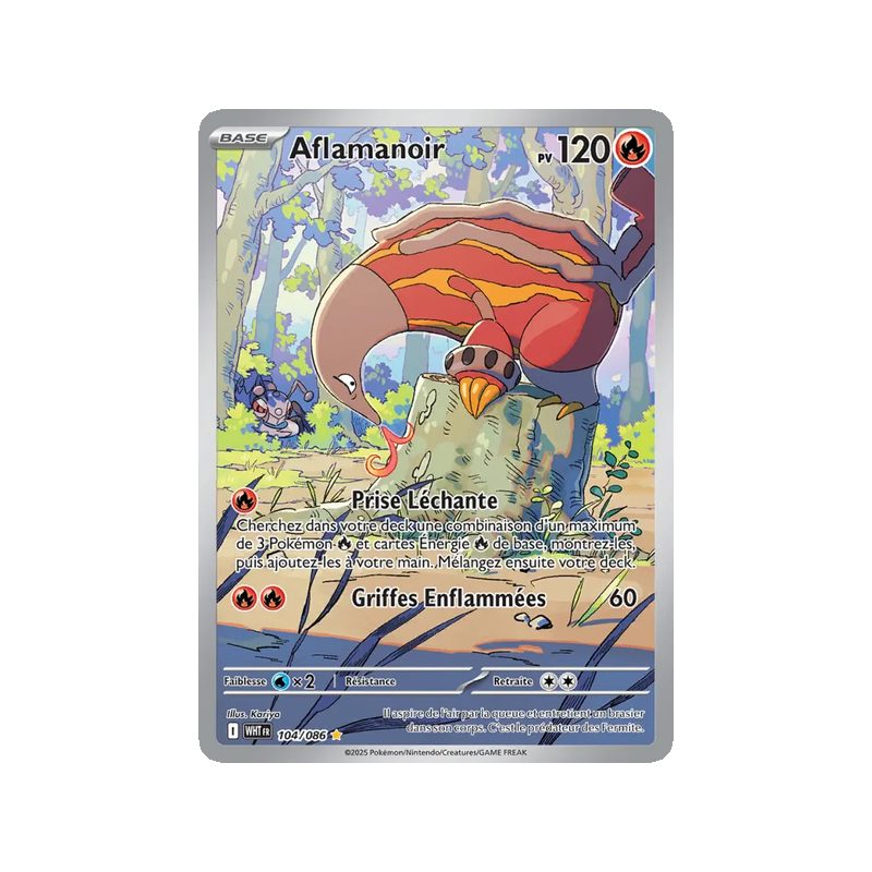 Aflamanoir - 104/86 - AR - Flamme Blanche