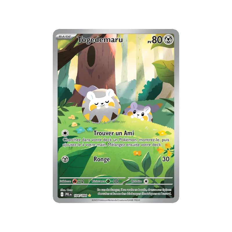 Togedemaru - 104/94 - AR - Flammes Fantasmagoriques