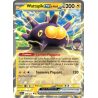 Wattapik-ex de Nabil - 068/217 - Double rare - Héros Transcendants
