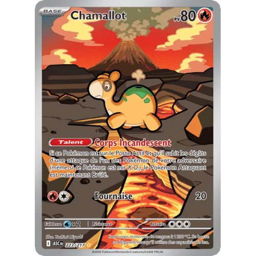 Chamallot - 223/217 - AR - Héros Transcendants
