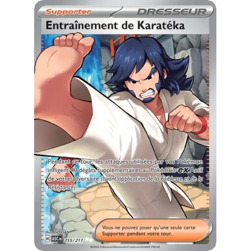 Entraînement de Karatéka - 255/217 - Ultra Rare - Héros Transcendants