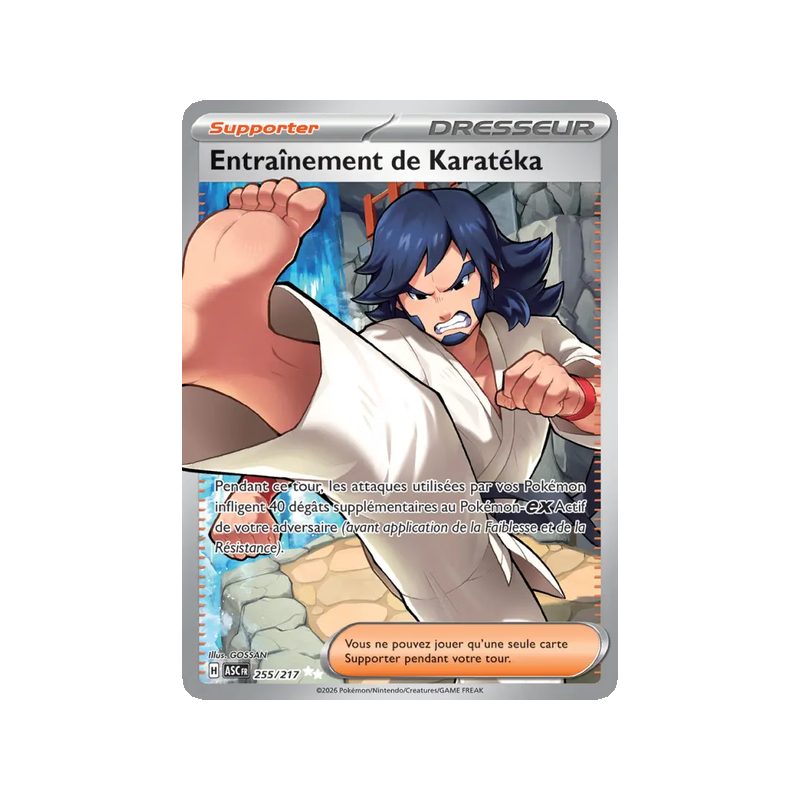Entraînement de Karatéka - 255/217 - Ultra Rare - Héros Transcendants
