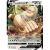 Monaflèmit V - 058/78 - Holo Rare V - Pokémon GO