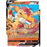 Flamoutan V - 027/172 - Holo Rare V - Stars Étincelantes