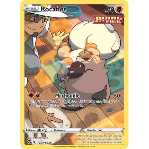 Rocabot - TG07/195 - Holo Rare - Tempête Argentée