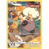 Rocabot - TG07/195 - Holo Rare - Tempête Argentée