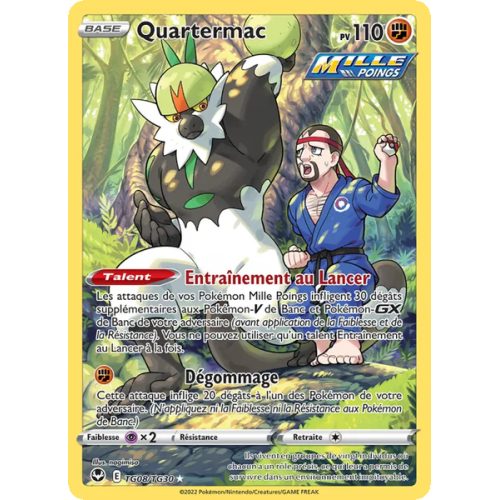 Quartermac - TG08/195 - Holo Rare - Tempête Argentée