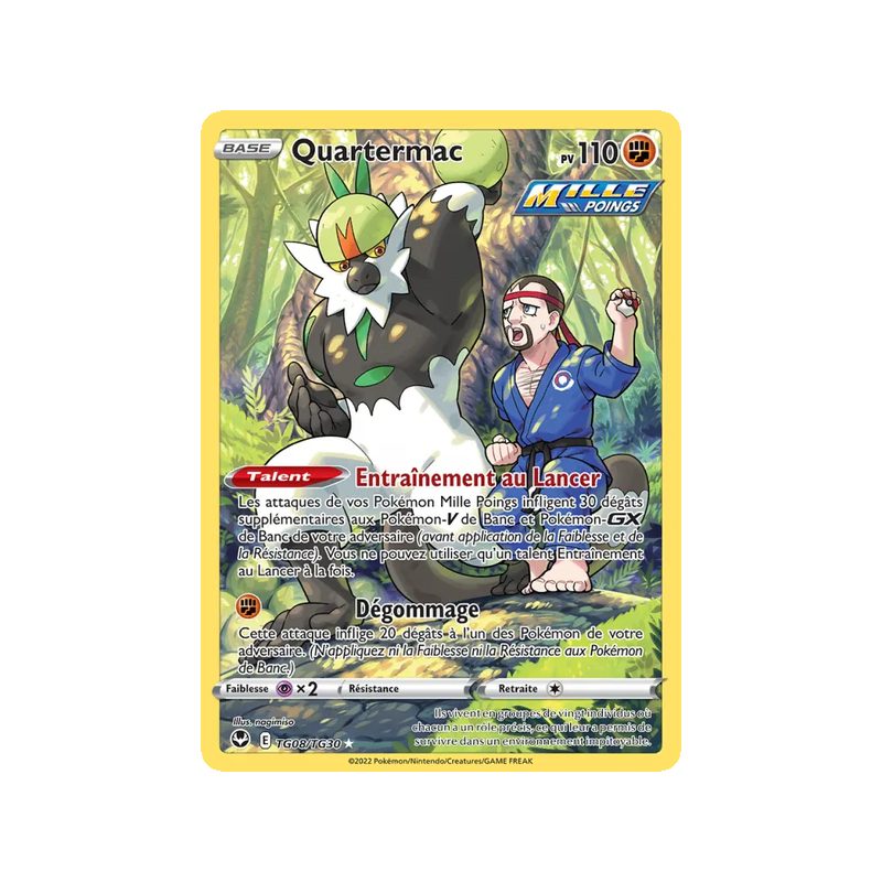 Quartermac - TG08/195 - Holo Rare - Tempête Argentée