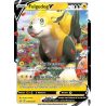 Fulgudog V - SWSH219/307 - Promo - Promo SWSH
