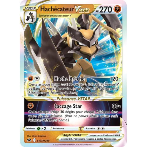 Hachécateur VSTAR - SWSH249/307 - Promo - Promo SWSH