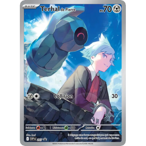 Terhal de Pierre - 207/225 - Promo - SVP Black Star Promos