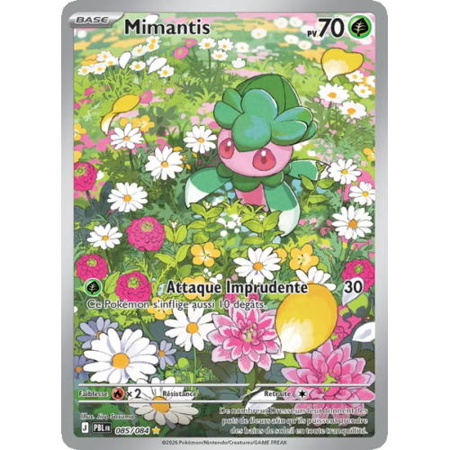Mimantis - 085/84 - AR - Nuit Noire