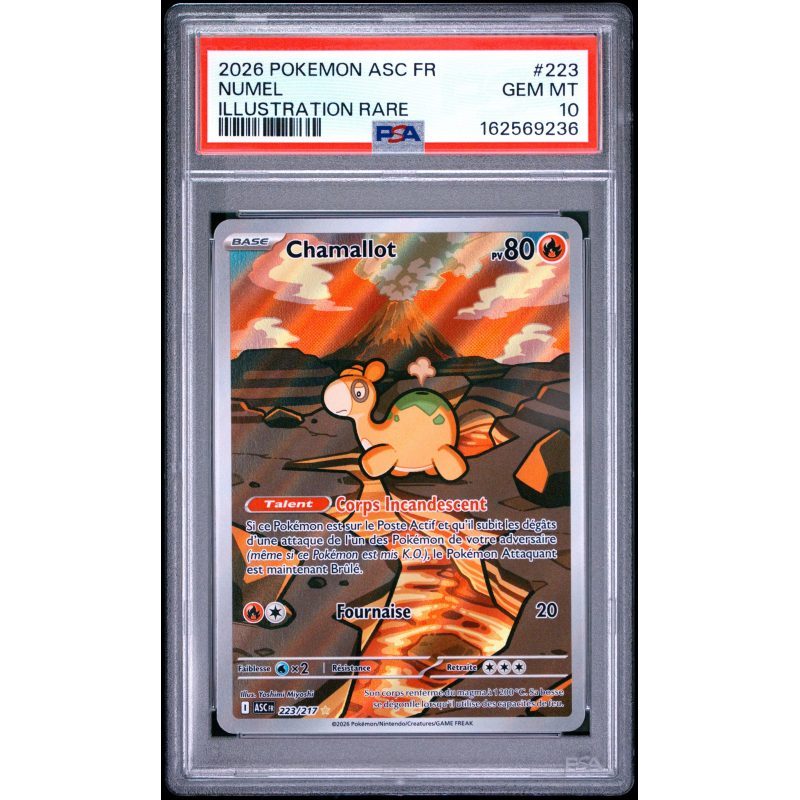 Chamallot - 223/217 - Héros Transcendants - PSA 10 - Français - recto