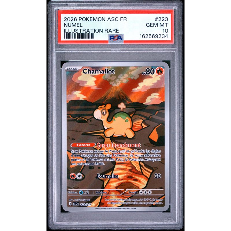 Chamallot - 223/217 - Héros Transcendants - PSA 10 - Français - recto