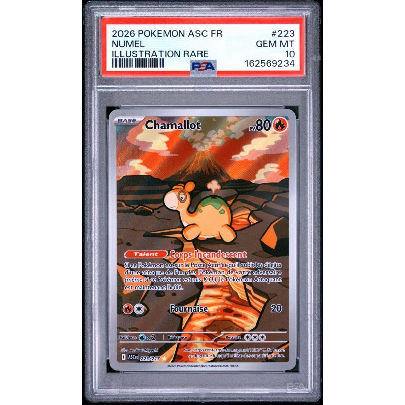 Chamallot - 223/217 - Héros Transcendants - PSA 10 - Français - recto